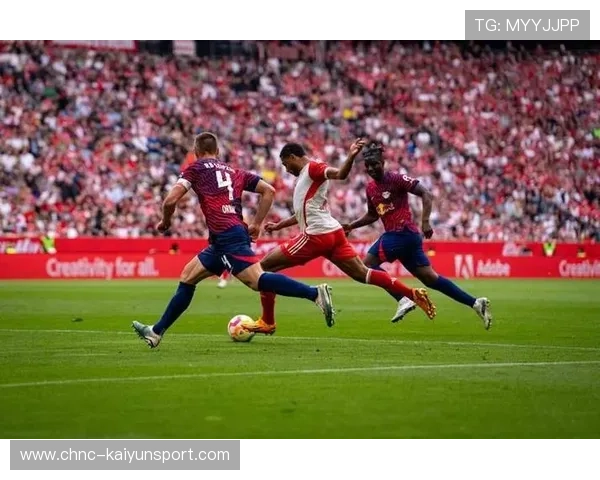 2024年德国队在世界杯赛场的激烈对抗与韧性，德国队备战世界杯