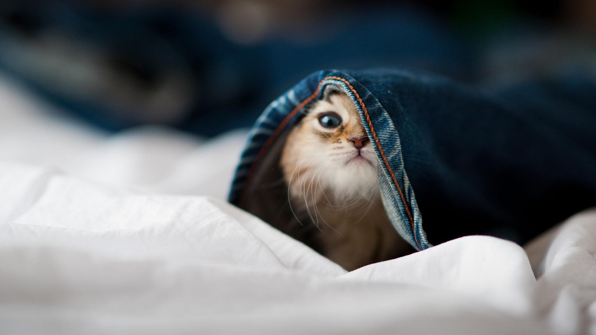 中国三人篮球男队调整首发 尝试新组合,中国三人篮球男队调整首发 尝试新组合的球员