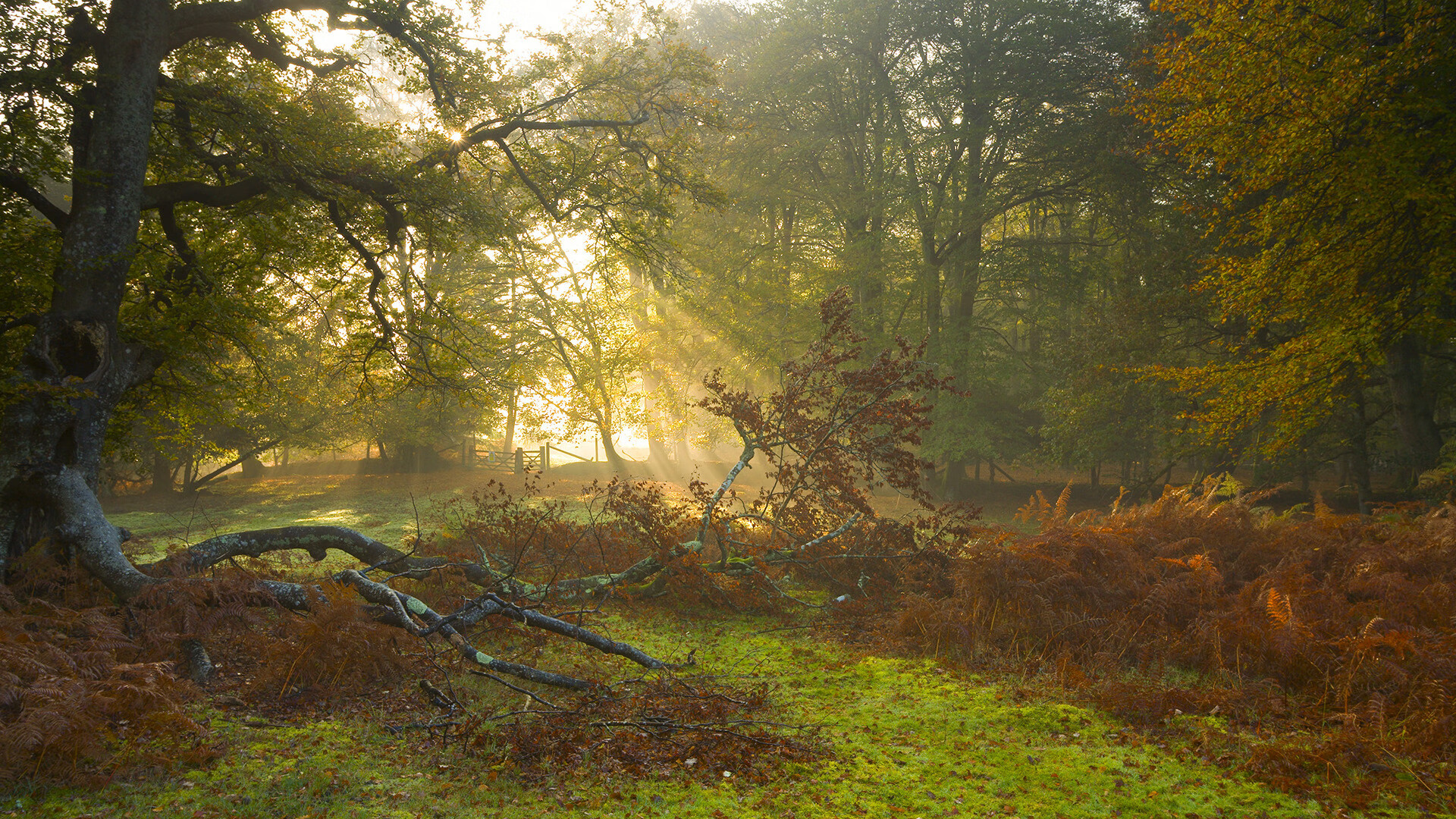 中国男篮提升终结能力把握关键球，中国男篮提升终结能力把握关键球员