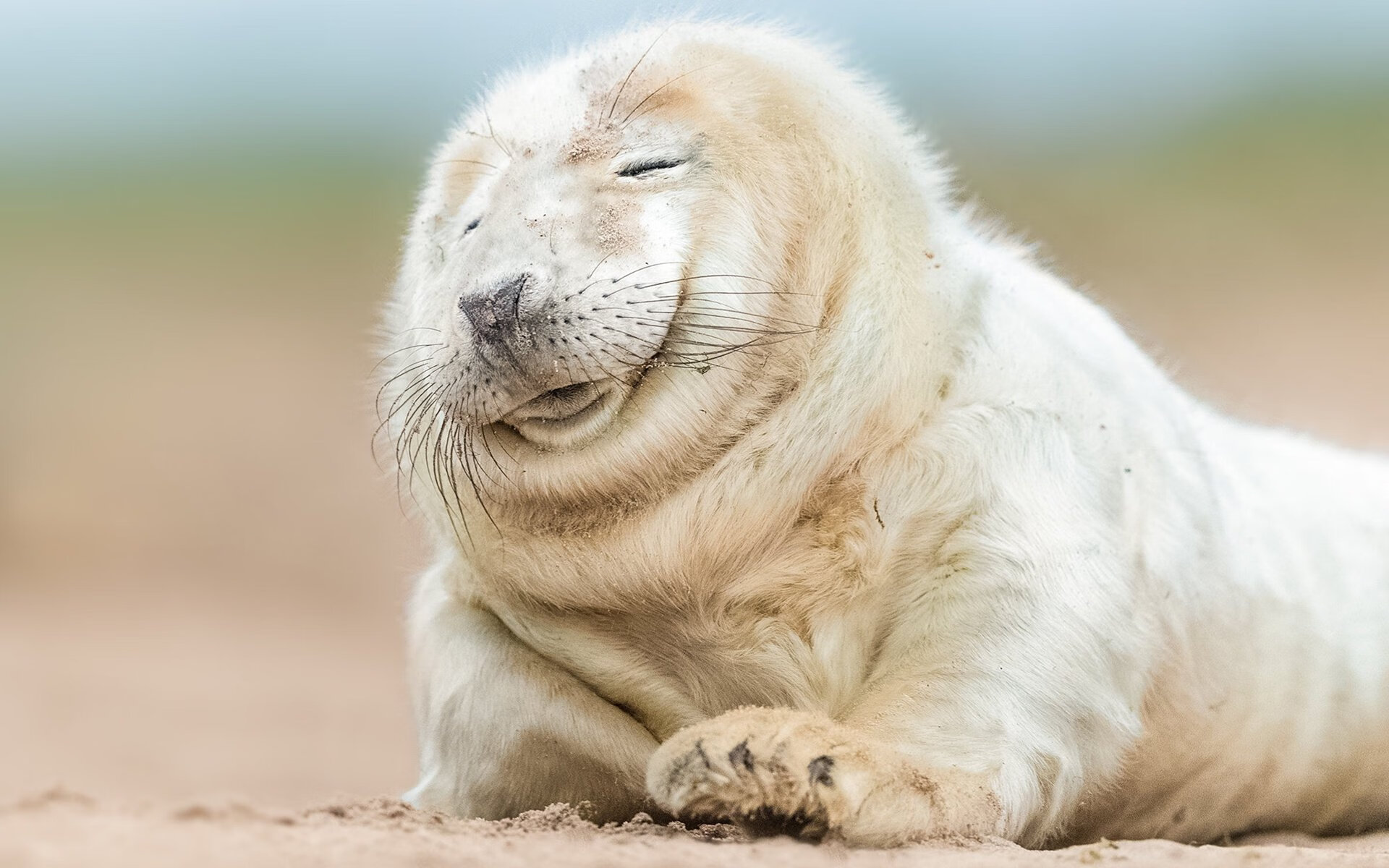 女子网球新星晋级大满贯正赛刷新历史,女子网球大满贯冠军数排名最新
