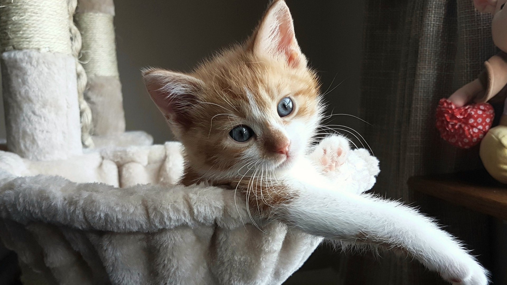 转换进攻失败是否常因节奏失衡导致,转换进攻和快攻的区别