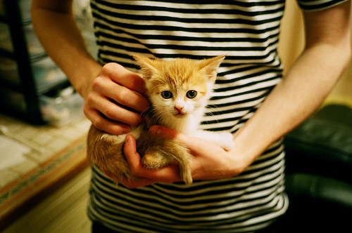 CBA新赛季赛程公布各大球队备战气氛浓厚,cba新赛季揭幕战赛程