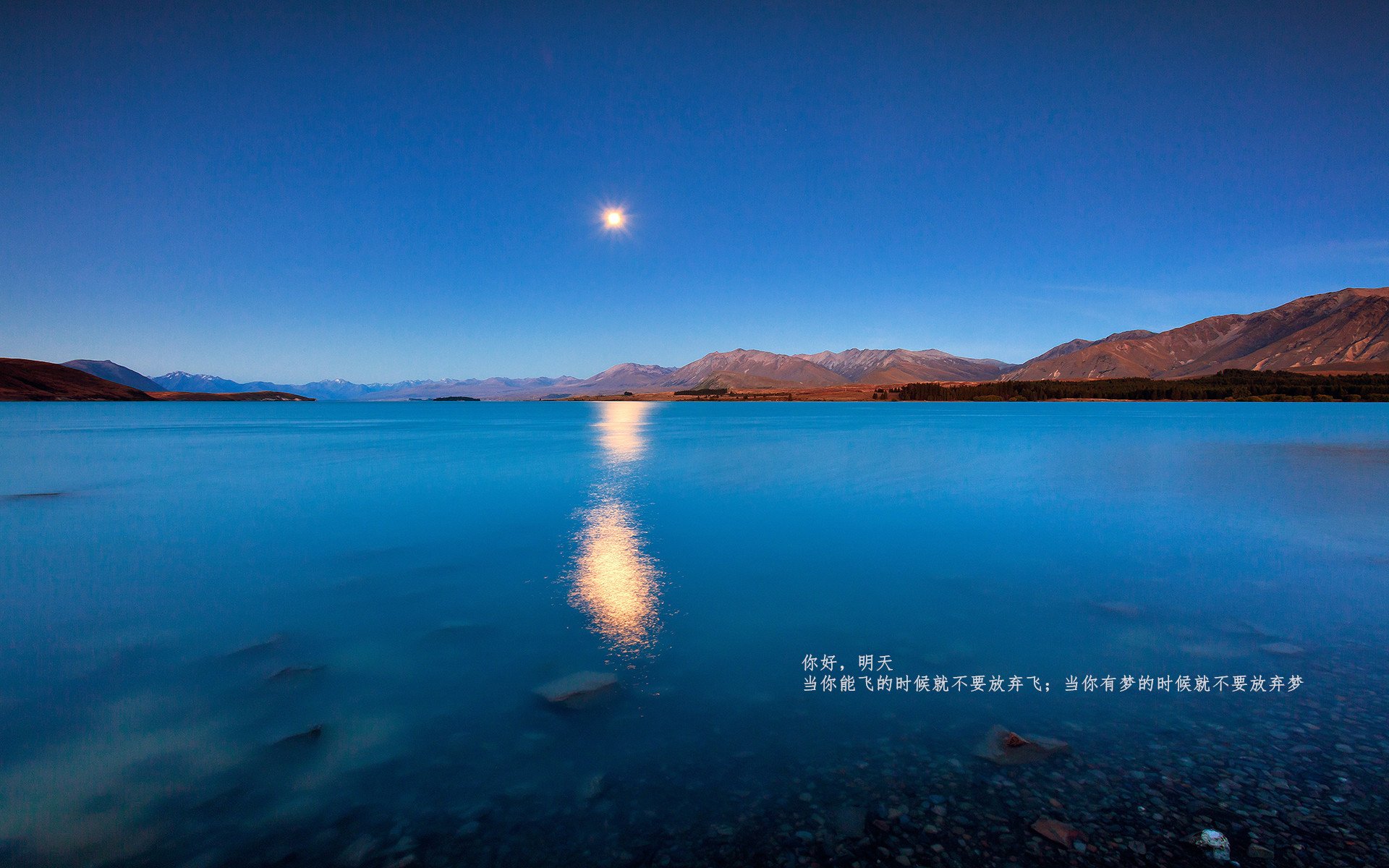 kaiyun网址-中国队用坚韧与速度征服赛场，中国队用坚韧与速度征服赛场比赛