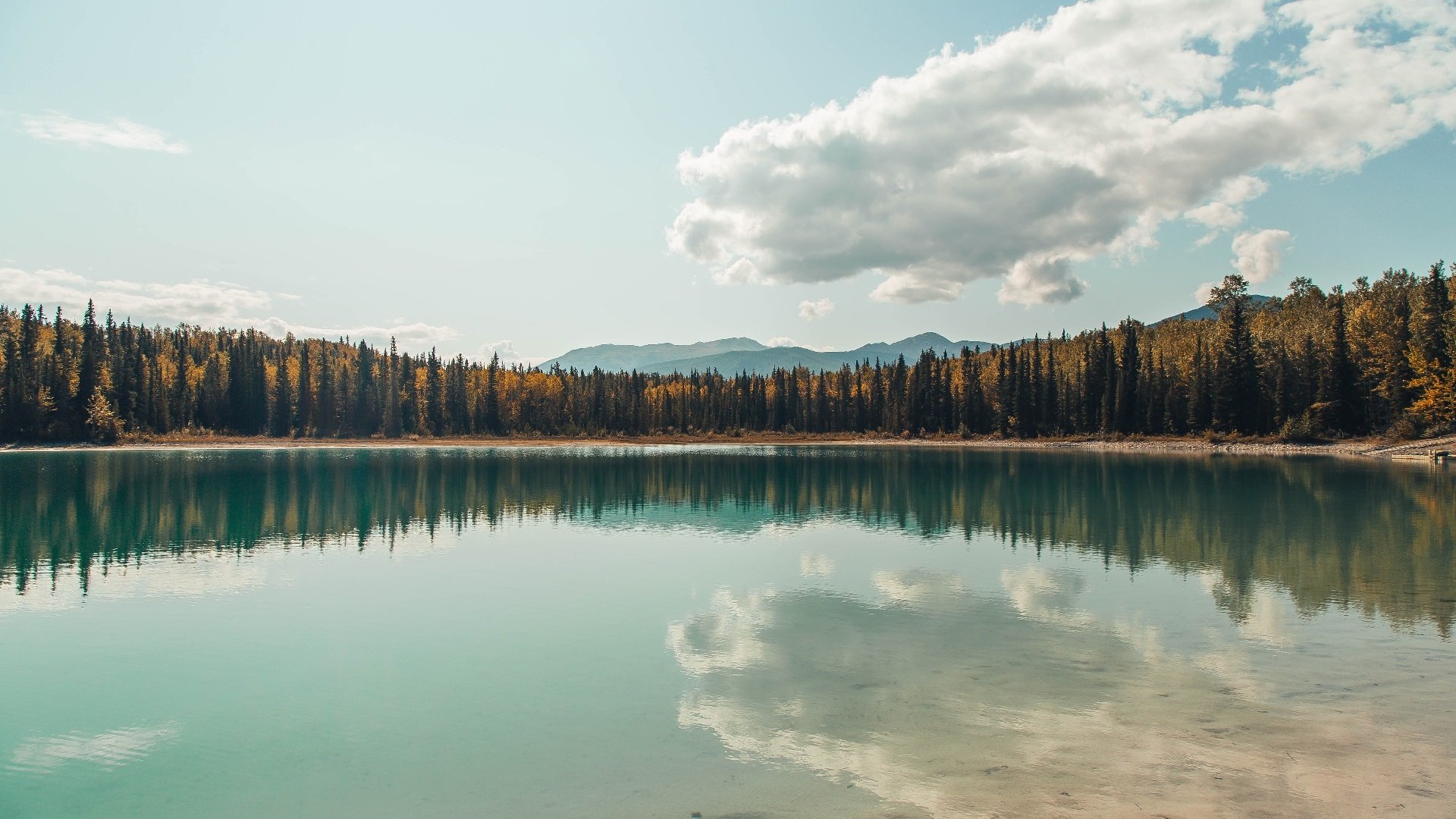 开云体育娱乐-体育赛事安保措施加强，如何加强体育赛事活动的安全监管