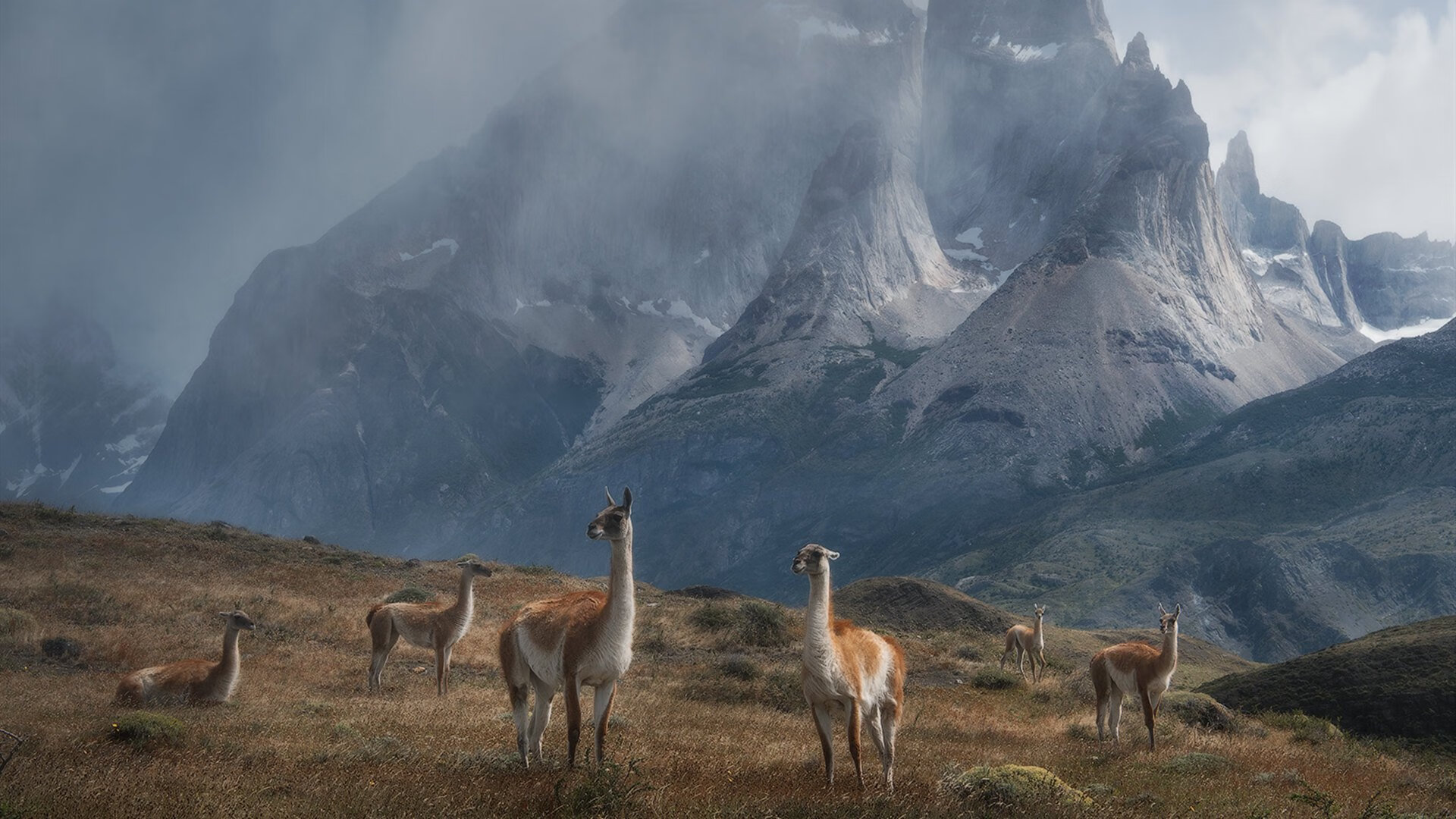 国家网球队新闻中心确认赛事准备情况说明,国家网球中心比赛