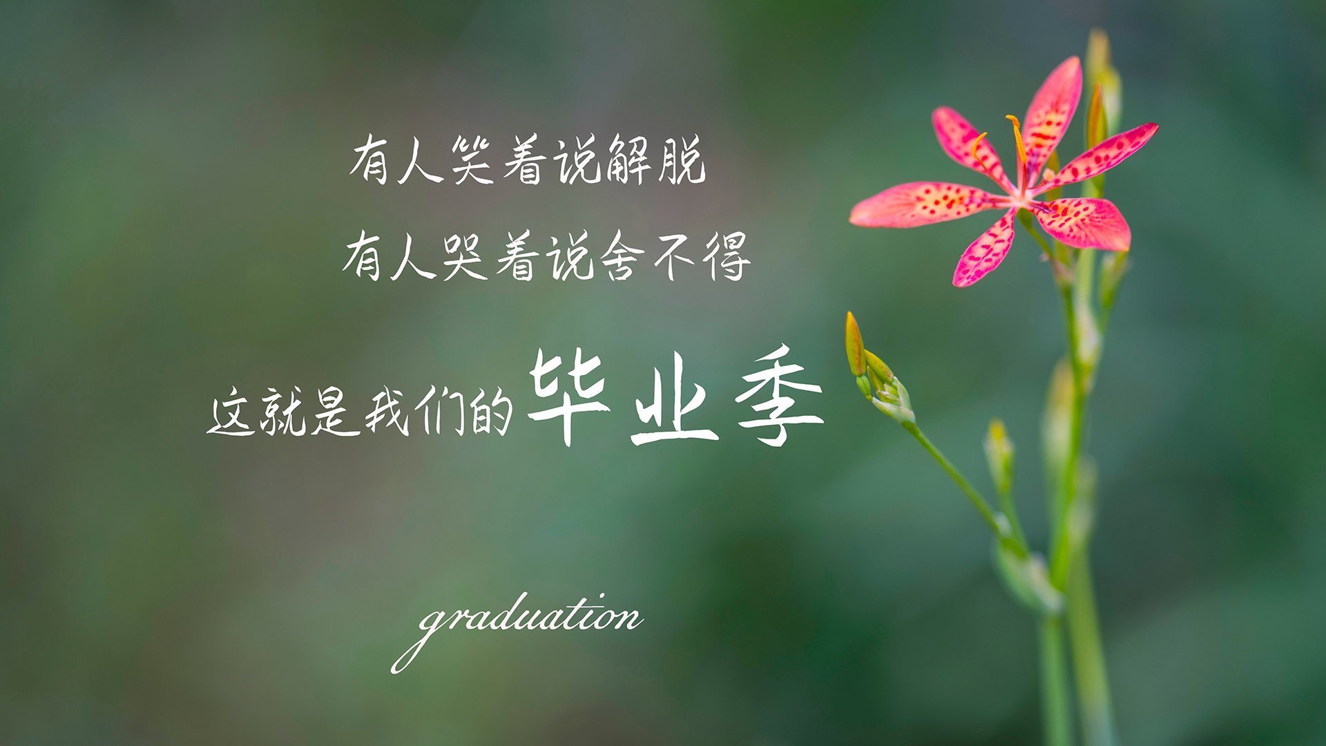 步行者内线缺乏强硬导致失分严重,步行者内线球星