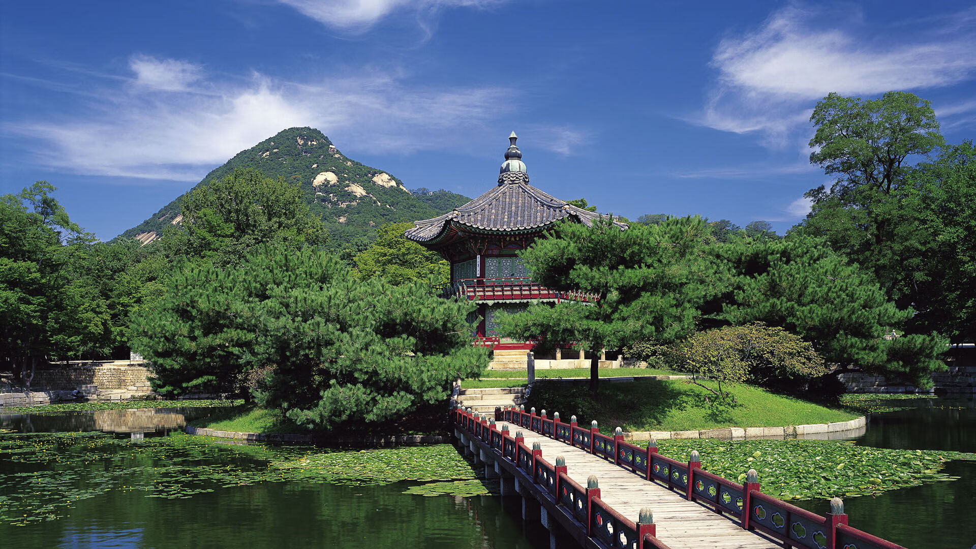 开云体育-七人制橄榄球比赛视频集锦热度飙升，七人制橄榄球全场比赛时间