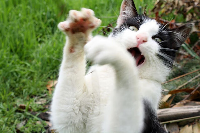 专家建议:50岁以上储蓄达标的三大关键点,50岁了至少要存多少钱不焦虑